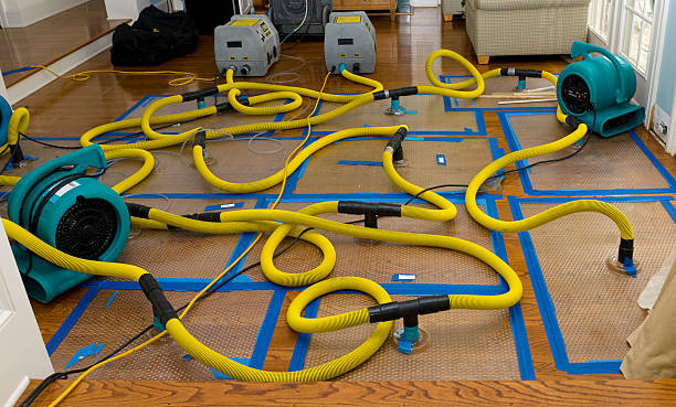 Professional Crawl Space Water Removal technician working in Louviers, CO